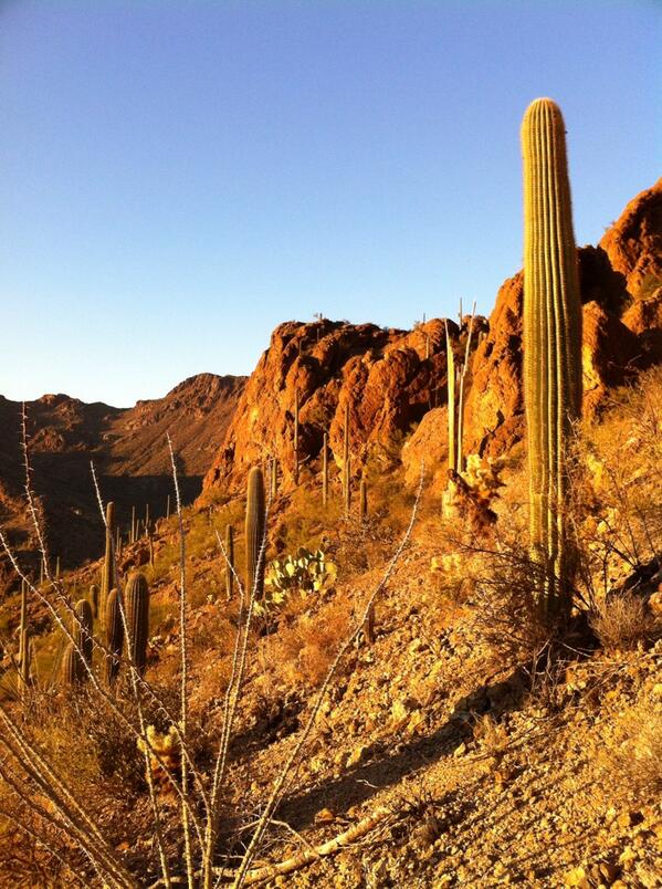 D_Storey's tweet image. Out in the desert and shiet