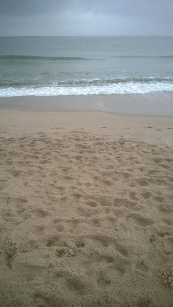 HelmutReinke's tweet photo. Der Morgen beginnt am Strand einfach herrlich http://t.co/QoCVTomFBV