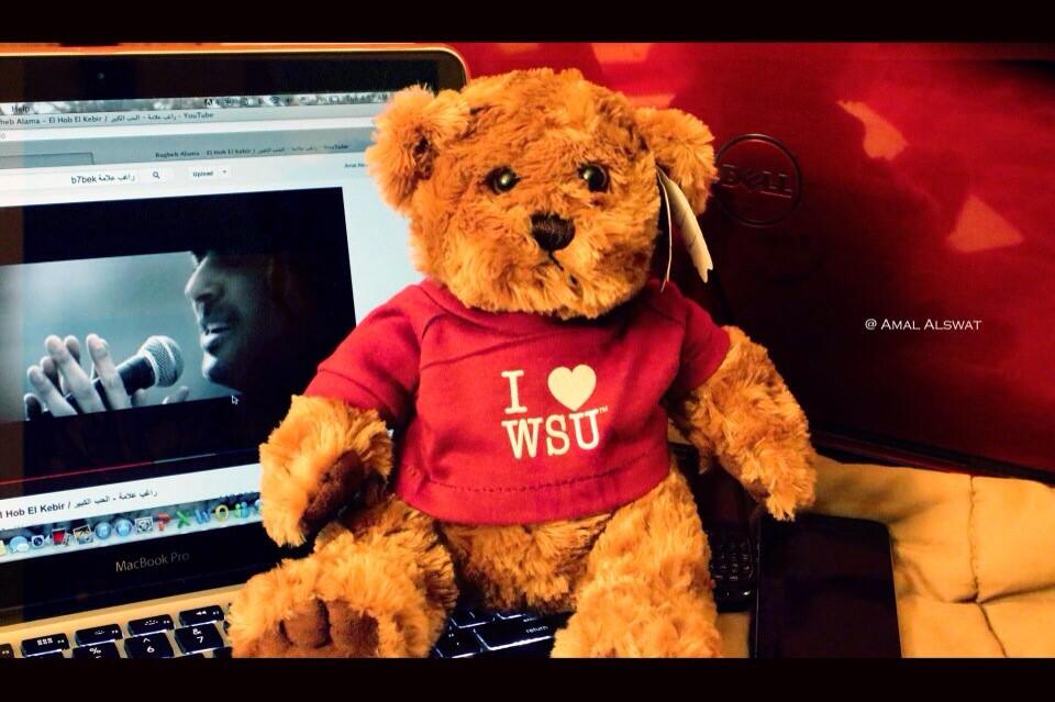 Dads Weekend Wsu 2025 Olva Eleonora