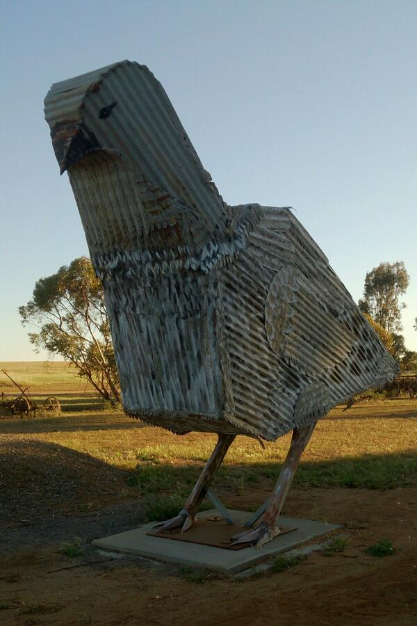 Baabau's tweet image. A malleefowl at Patchewollock.
#Mallee #malleefowl #Patchewollock
