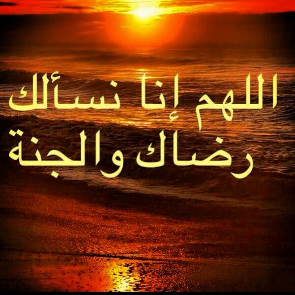 8FULL8's tweet photo. أسعد الله صباحكم 🍃 http://t.co/oxUFX3ww3M