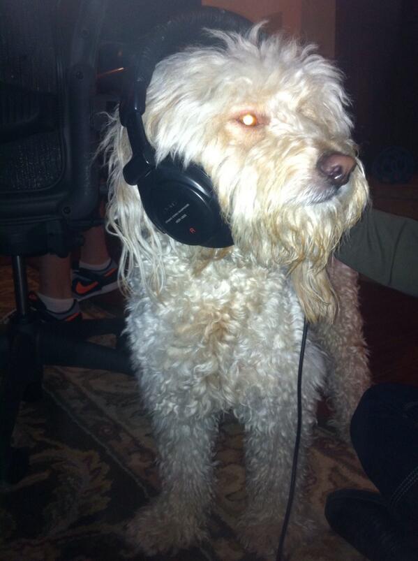 Newest employee of after austin!