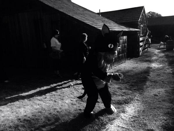 RoyCohen's tweet image. Creepy cat entertaining the crowd at ARF's walk to Main Beach. A "Pet-ophile" in disguise?  #Itsajob