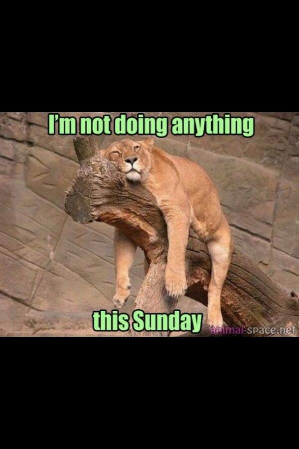 Your Student Shoes tweet media