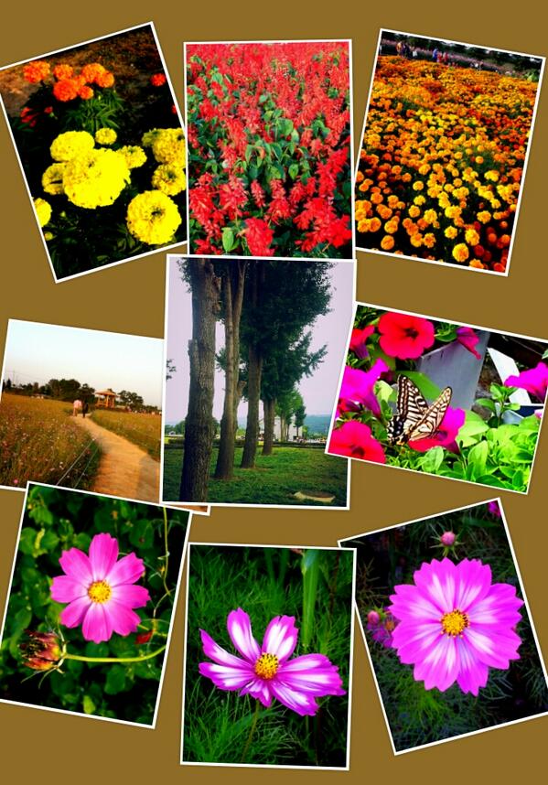 moosahoo tweet picture