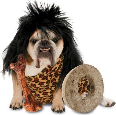 _hidog's tweet image. มีการพิสูจน์มาแล้วว่าหมาเป็นสัตว์ที่เก่าแก่ที่สุดในโลกที่ยังไม่สูญพันธ์ โดยพบหลักฐานเป็นภาพถ่ายภาพนี้ #สาระ