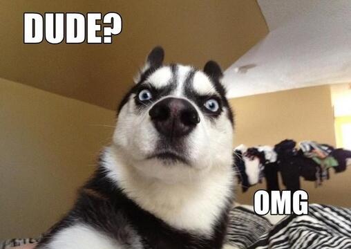 _hidog's tweet image. หือ พูดอีกทีซิ...