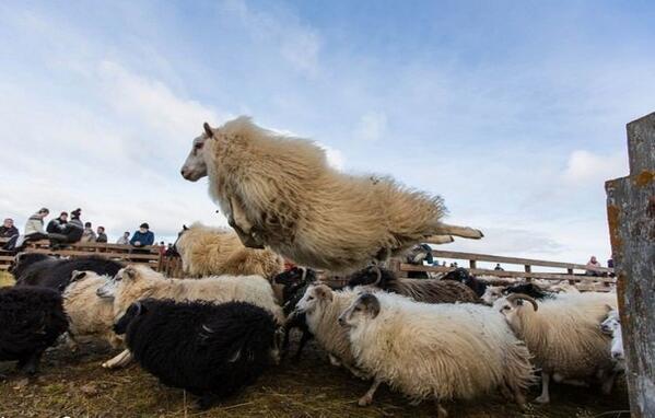 KeyCollection_'s tweet image. ПРЕОДОЛЕНИЕ – усилие души, в результате которого ум и тело справляются со всякими препятствиями. 9 лет