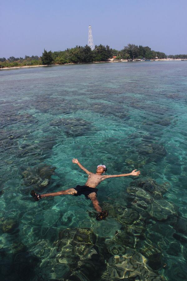 Bebas, Lepass, diatas ribuan ikan &amp; terumbu karang Pulau Payung, trip Pulau Tidung, Jakarta,... Amaaziing