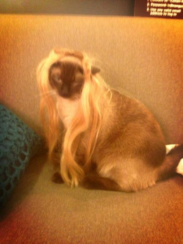 KeshaRose tweet picture