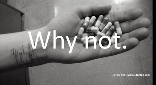 dxelicate's tweet photo. why not. http://t.co/8UD38HJTTM
