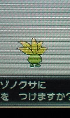 ポケットモンスターxy 色違いポケモン攻略 報告画像集 47 49 Renote リノート