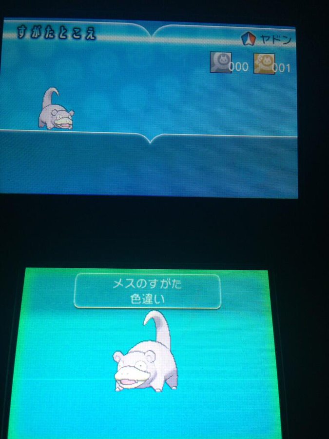 ポケットモンスターxy 色違いポケモン攻略 報告画像集 47 49 Renote リノート