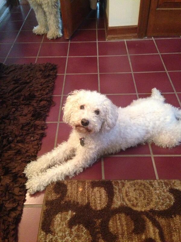 Someone's ready for a video shoot!