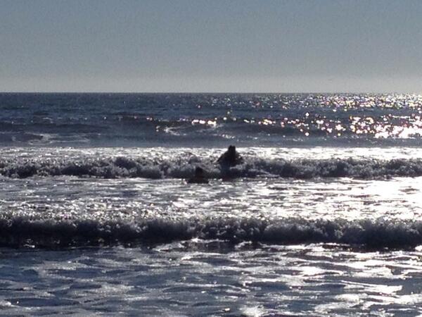 Stinson Beach Tide Chart