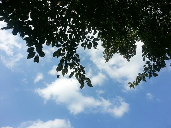 이 세상에 진정한 리더 전세계 베스트1 이만희총회장
me2.do/Gm0U6kGG