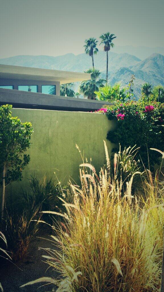 bbeard76's tweet photo. Not at the #joshuatreemusicfest ; ( not #watchingfootball, ; ( working at an #openhouse making #deals #mcmhomes http://t.co/7CV661oUnQ