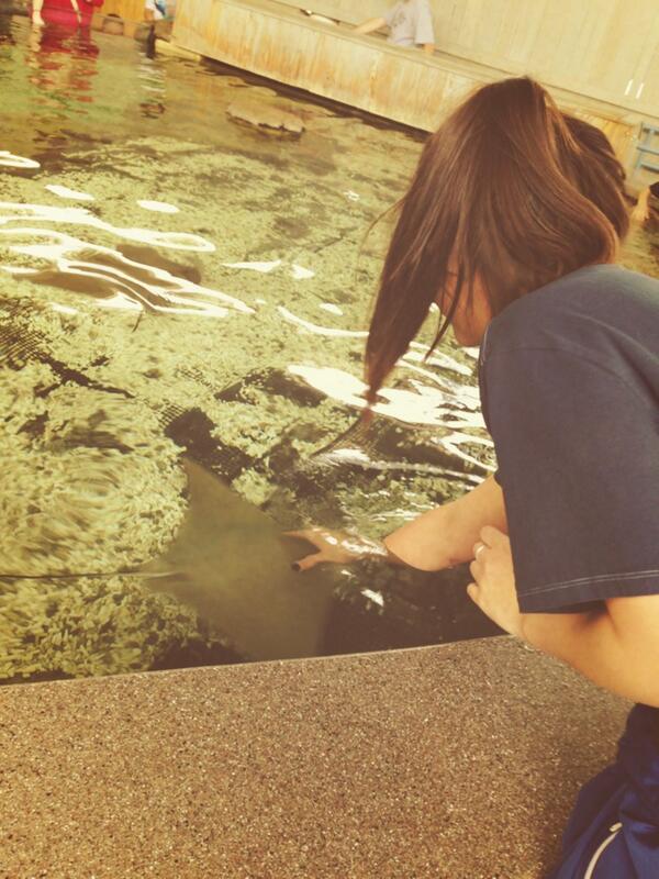 VoFaith's tweet photo. I just pet a stingray 😅😍😍 http://t.co/LehOAfLXGs