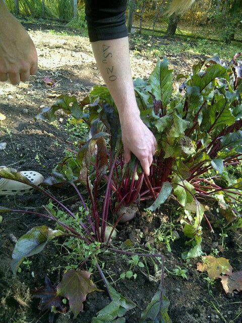 @duusgirl and some  #phat beets.