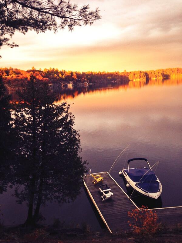 FosterEric's tweet image. 