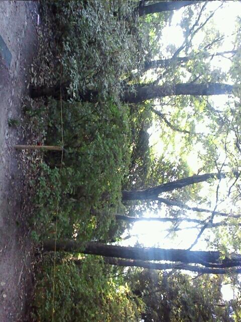 朝の散歩中です。
美味しいパンを買いに行きました。
時間つぶしに神社の上の公園に行きました。
こんなところがあったんや～！