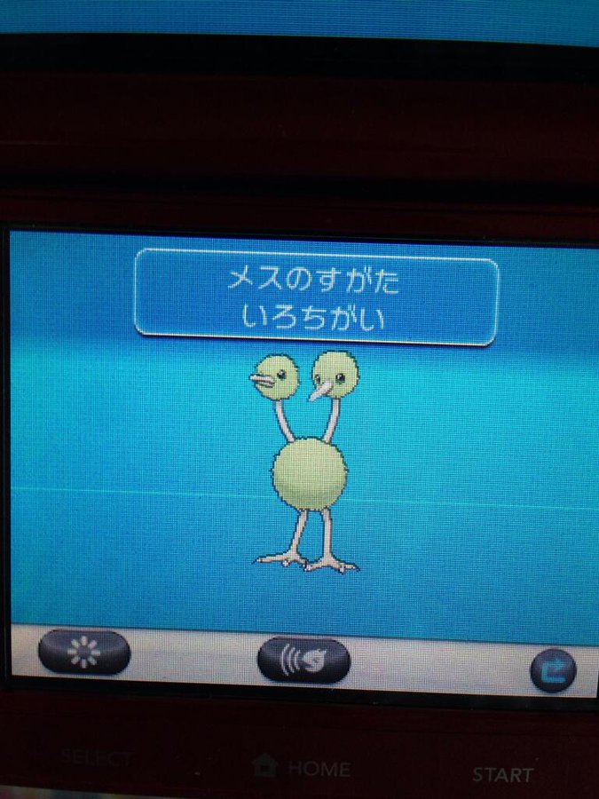 ポケットモンスターxy 色違いポケモン攻略 報告画像集 44 49 Renote リノート