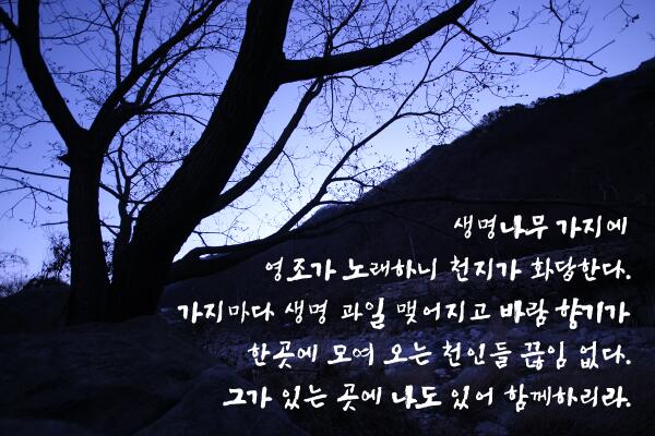 Shincheonji of New Aroma: Man Hee Lee quotes, 'Don't quit' 
subdue-it.blogspot.com/2013/05/man-he…  #신천지