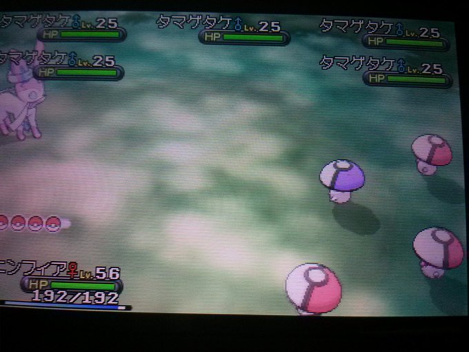 ポケットモンスターxy 色違いポケモン攻略 報告画像集 37 49 Renote リノート