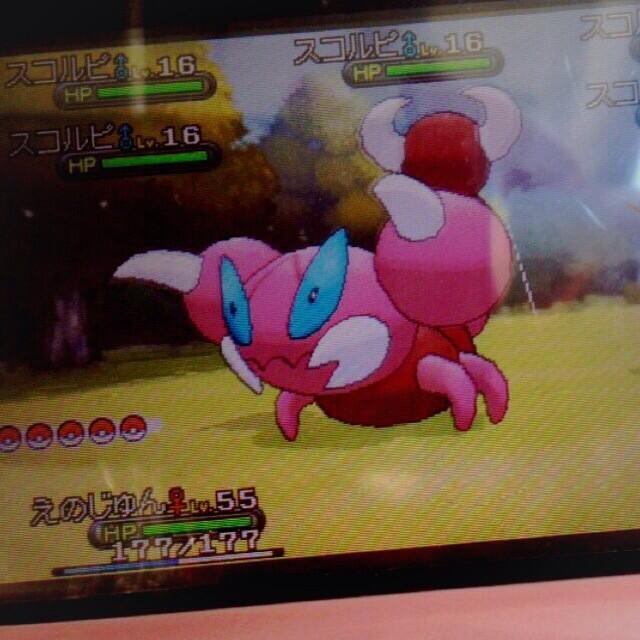 ポケットモンスターxy 色違いポケモン攻略 報告画像集 36 49 Renote リノート