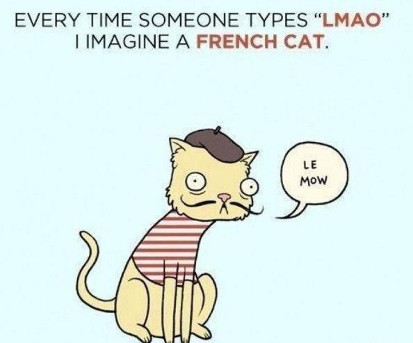 Veterinary Humor VeterinaryHumor Twitter veterinary-humor-veterinaryhumor-twitter