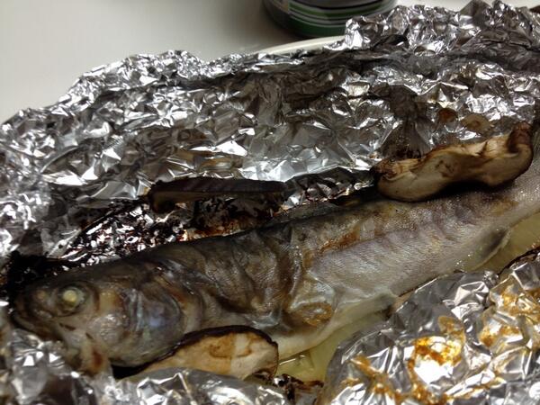 たかゆき 今日の釣果 イワナ12匹のうちの1匹 ぶつ切りにして味噌汁に入れた 残りはホイル焼き うまかった Http T Co Npxjgx2wh7