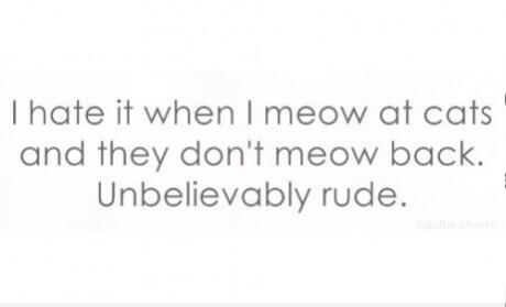 ChataApp's tweet image. Via Chata for Iphone itun.es/gb/LZCBL.i 
I know the feeling!