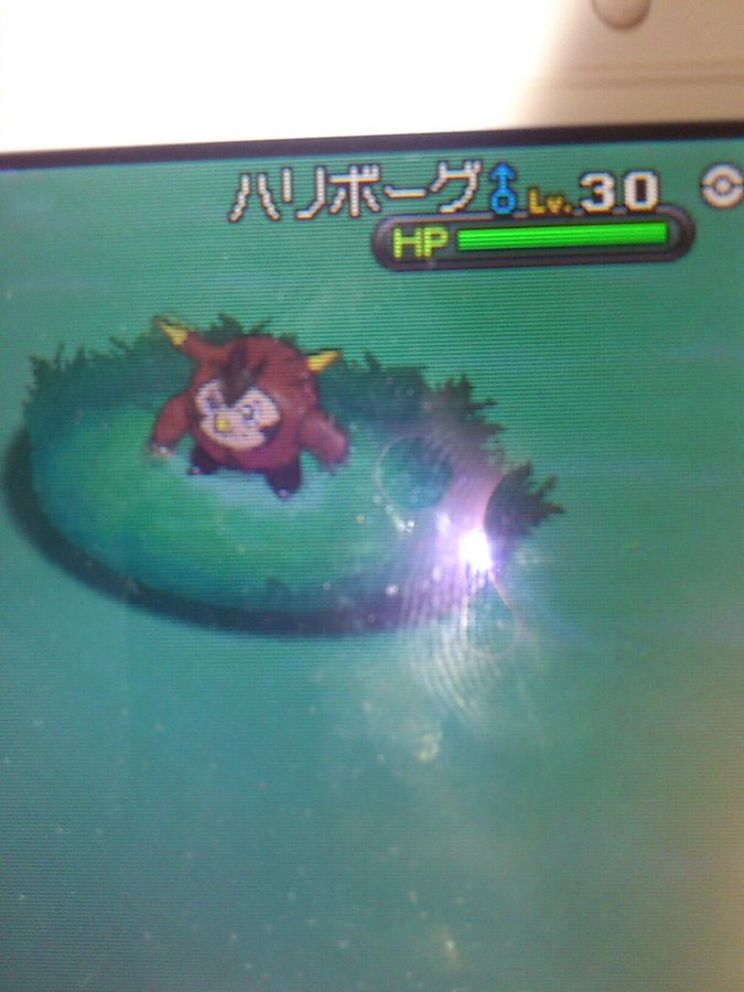 ポケモンxy 第6世代御三家ポケモンの色違い画像まとめ ポケットモンスターx Y Renote リノート