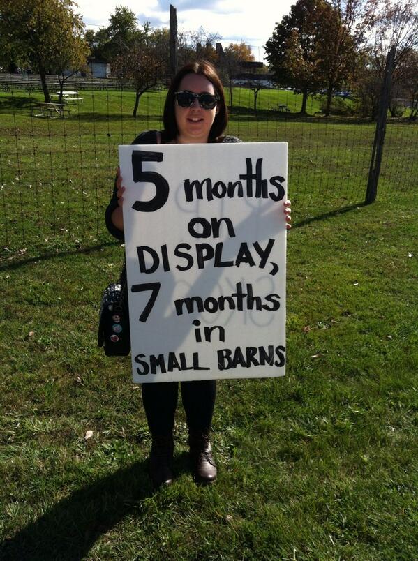 HALTtweets's tweet photo. What happens to the animals after African Lion Safari closes for the season? #HALTafricanlionsafari #FFTA2013 http://t.co/Jl0Ad9uhWV
