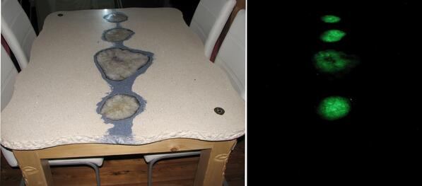 CHENGConcrete's tweet photo. Spooky or Spectacular? Enter your own #concrete project, deadline is 10/22, before Halloween! http://t.co/o11k8VWwnd http://t.co/t2MhObf8x8