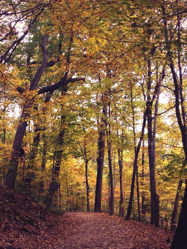 3eIntel's tweet image. Trails look fucking incredible right now