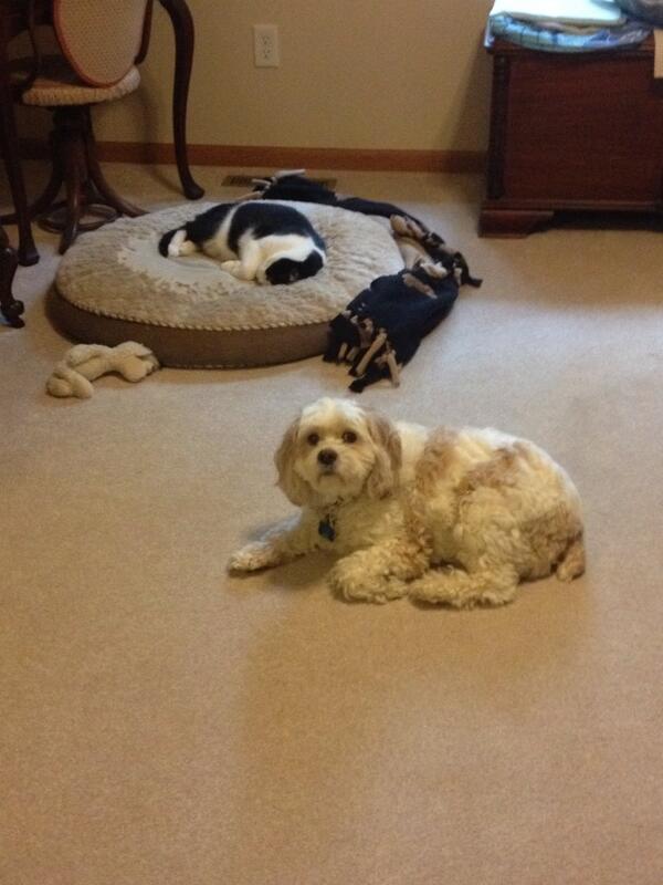 Classic #murphyprobs