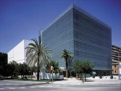 Sábado 19/10/13: Dia Internacional Del Cáncer de Mama. Cirurgia reconstructiva. Dr. Daniel Marin. Cirurgia Plàstica.