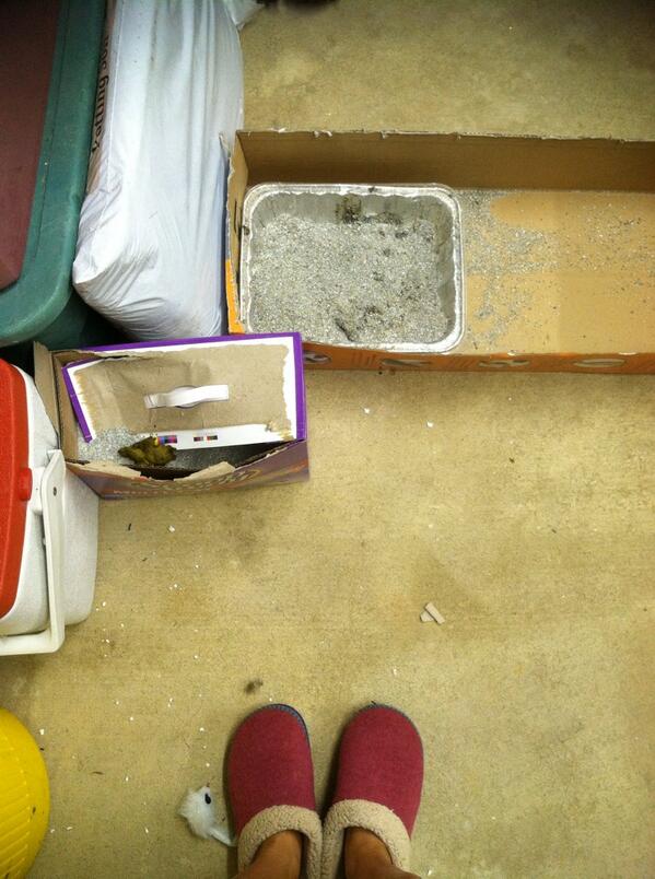 AbbyChapman02's tweet image. Bean has ascended to a whole new level of asshole #wrongbox