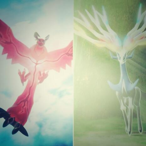 wolfe_will's tweet image. 