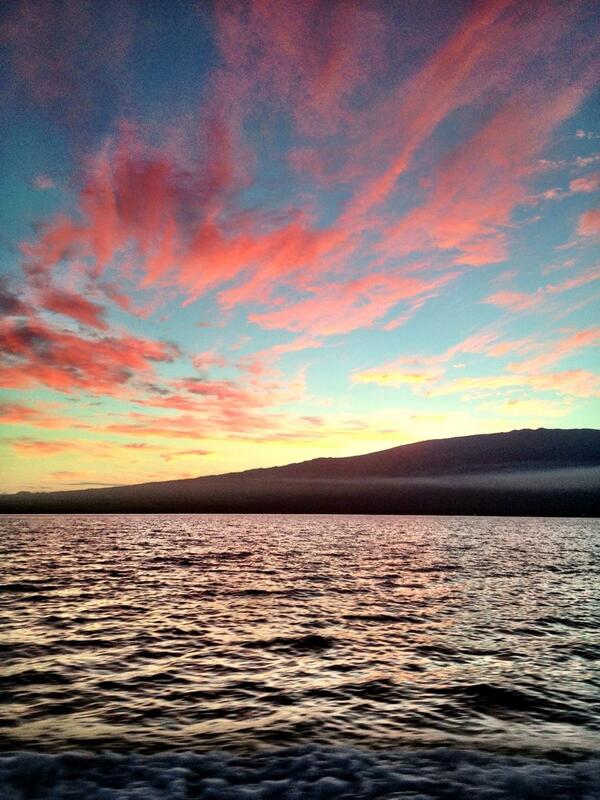 Rascal Charters tweet media