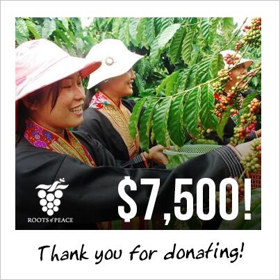 Hi @marfission glad you shared milestone Thank You pic   for #SEChallenge - now almost $10k!