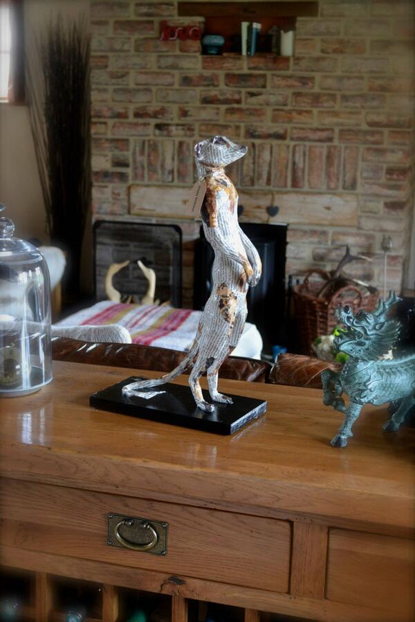 ArtyPulp's tweet image. The Meerkat just finished...I hope you like it!