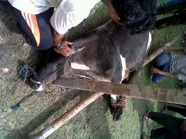 Korban pembantaian beruntun, korban 16 makhluk . Mari berdoa semoga keluarga korban diberi ketabahan. Amin.