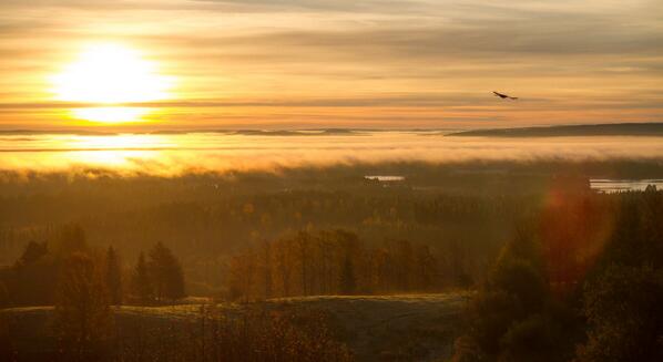 DieselMeStore's tweet image. Helt okey utsikt från kontoret den här morgonen. Inte länge kvar innan snön kommer nu!