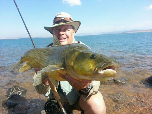 XplorerFly's tweet photo. Barry Warem of Basil manning tamed this Largie on his first outing on Sterkfontein dam yesterday. Fish measured 80cm. http://t.co/C8Qn2YZXU3