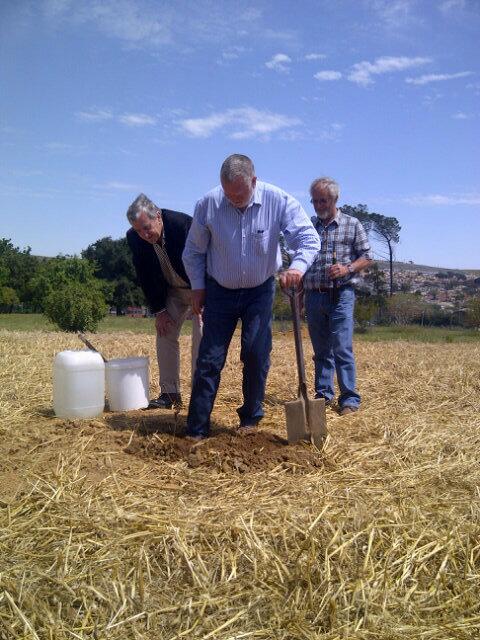 ARC_InfrNietv's tweet photo. Dr Johan van Zyl and Mr Danie van Schalkwyk (ARC) with Mr Dumpie Bailey of the Pinotage Association planting the vine http://t.co/3h2pl57xkP