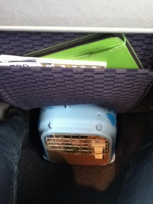 CharlestonBun's tweet image. Due to lack of law harmonisation in the EU I can enter England via France without quarentine! #anotherFlight