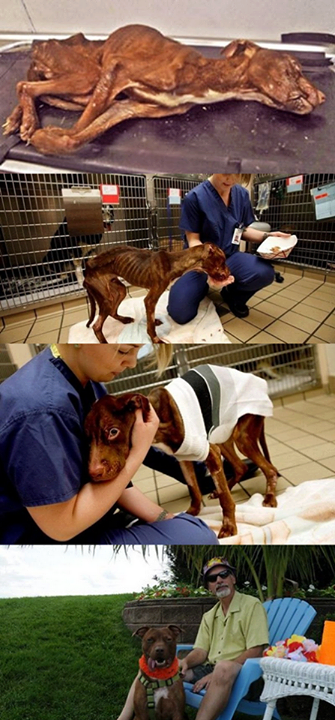 DeboConfesarQue's tweet photo. Algunos héroes no siempre llevan capa. Patrick y su recuperación. http://t.co/pRb4DwQYii