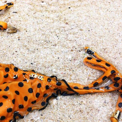 Nada como um mergulho no mar pra renovar as energias na semana! #amamospraia